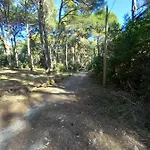 Alma
