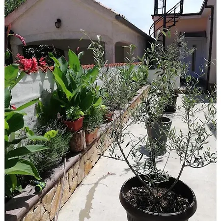 Alma Apartmán Pula