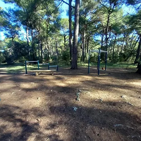 Alma Apartmán Pula