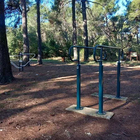 Apartmán Alma Pula