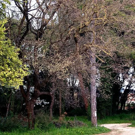 Appartement Alma