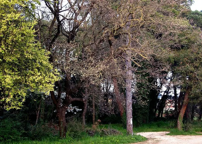 Lejlighed Alma
