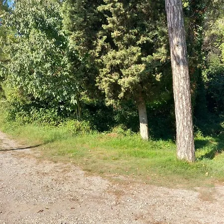Apartmán Alma Pula