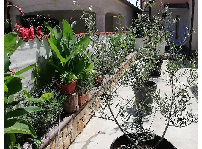 Alma Apartman Póla