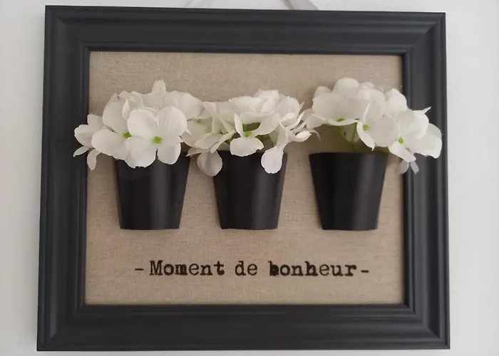 아파트 Alma 풀라