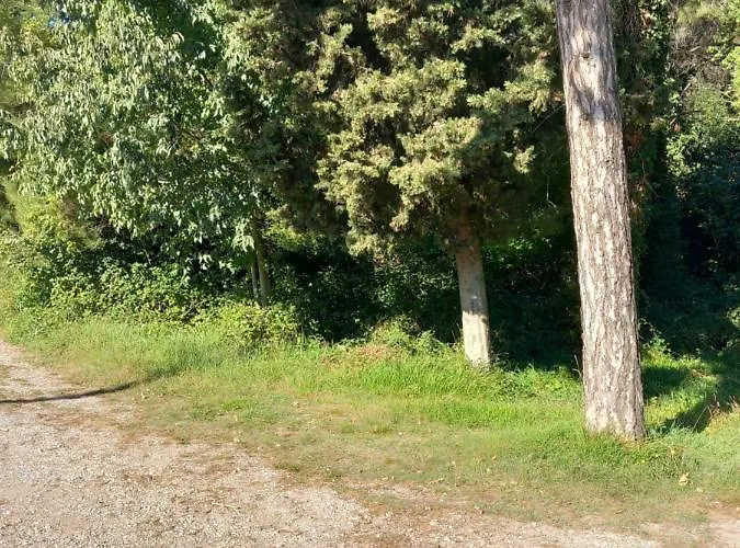 아파트 Alma 풀라