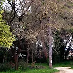 Apartment Alma