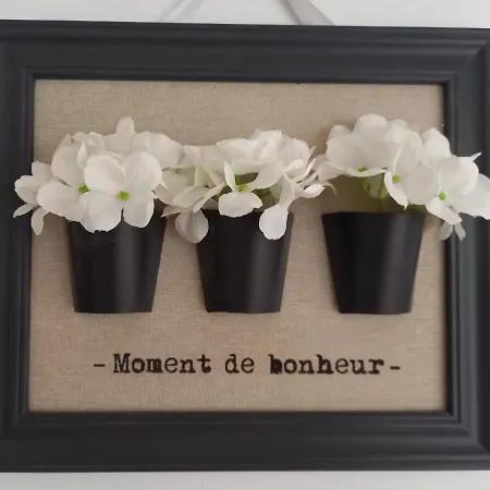 Appartement Alma Pula